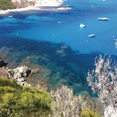 Pet Friendly In With Wifi Holiday home Ramatuelle